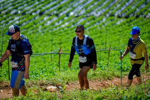 BIB: 
                            <button type="button" onclick="openModal(19164651)" class="btn btn-primary btn-sm float-right btn-popup" data-toggle="modal" data-target=".modal-high-quality">
                        <i class="fas fa-shopping-cart"></i> Add to Cart
                    </button>
                                            <button type="button" onclick="isThisMe(19164651, true)" class="btn btn-success btn-sm float-right btn-popup btn-isme hidden" data-toggle="tooltip" data-placement="bottom" title="นี่คือรูปของคุณใช่ไหม คลิกที่นี่เพื่อเอาเข้าอัลบั้ม">
                        <i class="fas fa-plus"></i> Add to album
                    </button>
                    <button type="button" onclick="isThisMe(19164651, false)" class="btn btn-warning btn-sm float-right btn-popup btn-isnotme hidden">
                        <i class="fas fa-ban"></i> Remove from album
                    </button>